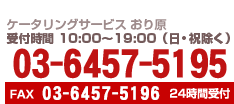 注文受付電話番号 03-6457-5195