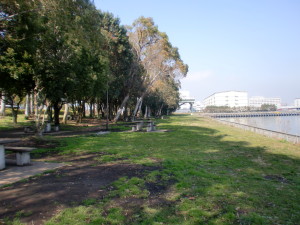 夢の島公園でBBQをしよう！内のイメージ