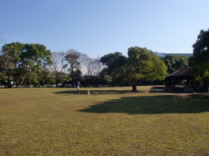 平和島公園でBBQをしよう！内のイメージ