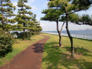 暁ふ頭公園公園でBBQをしよう！内のイメージ